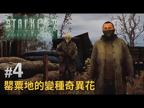 《S.T.A.L.K.E.R. 2: Heart of Chornobyl》#4 罌粟地的變種奇異花