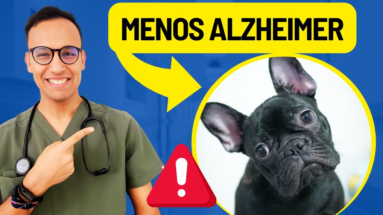 ¿PERROS como medicina? La CIENCIA lo confirma
