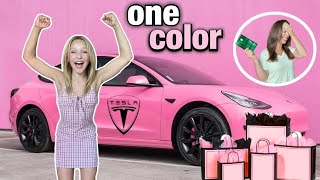 BUYING Everything in ONE COLOR with NO BUDGET!!  *gone TOO FAR*