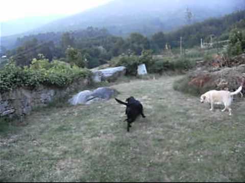 Moraima en su palacio