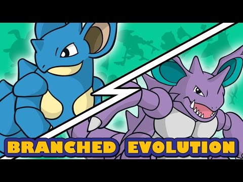 Nidoking vs Nidoqueen | Pokemon Branched Evolution (Sort of)