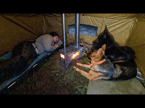 Rain Camping in Deep Snow with My Dogs | Winter Camping in a Snow-Covered Forest with a Heated Tent