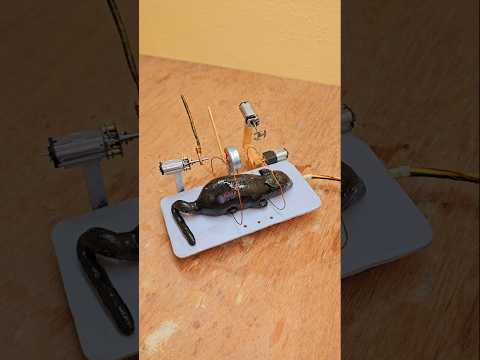 New rubber mouse trap in action with all the features #engineering #MOUSETRAP #funny #dcmotor