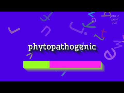 PHYTOPATHOGENIC - HOW TO PRONOUNCE PHYTOPATHOGENIC? #phytopathogenic