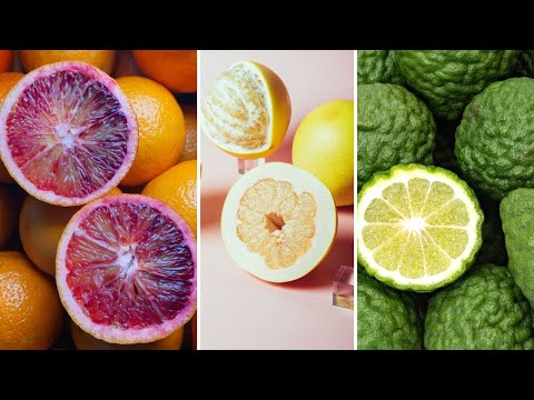 11 Tipos de Laranjas Mais DIFERENTES e INCRÍVEIS Que Existem Pelo Mundo