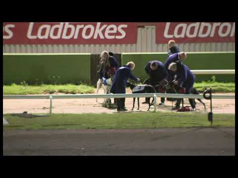 Fayes Jet - Ladbrokes Kent Derby Semi Final 1