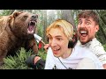 $10,000 Every Day You Survive In The Wilderness | xQc Reacts to MrBeast