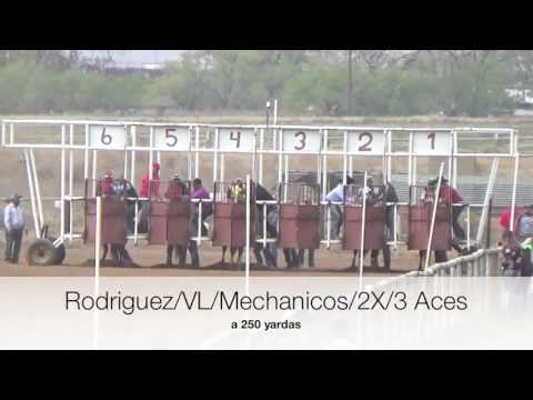 1 Cuadra 2x vs Cuadra VL vsCuadra 3 Aces vs Cuadra Mechanicos vs Cuadra Rodriguez a 250 Yardas