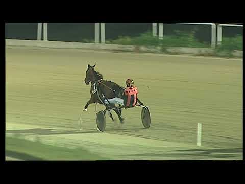 Napoli Trotto 27/08/2021 - 6ª corsa