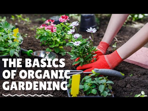 The Basics Of Organic Gardening
