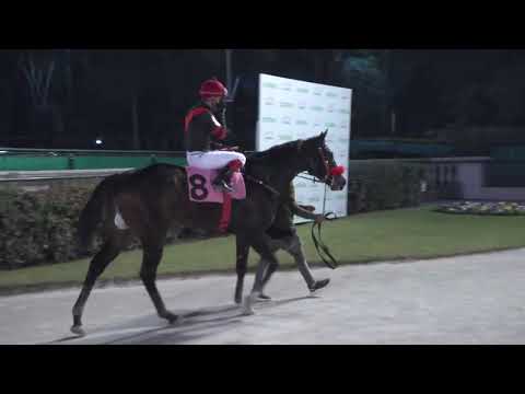 230618 c11 PAPA JOEY