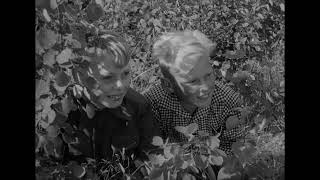 Kalle Blomquist lebt gefährlich