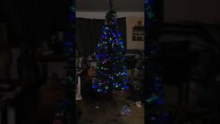 eBay tree 7&#39;