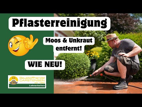 Pflasterreinigung: Moos & Unkraut entfernen + Fugen neu einfegen!