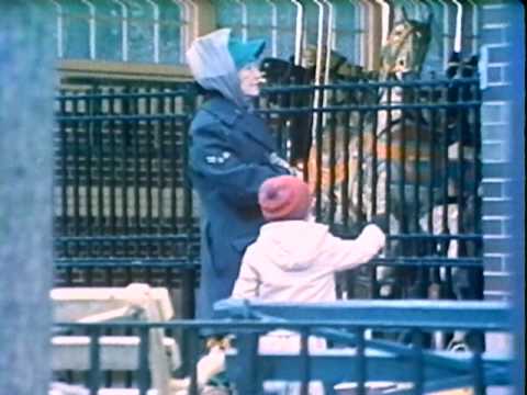 The Shopping Bag Lady / High Resolution / by Bert Salzman - Award Winning Video