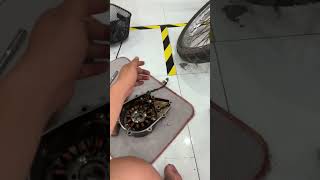 Quá trình lên sạc Future Led