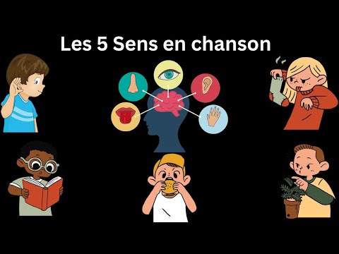 Connais-tu les 5 Sens? The 5 Senses in french