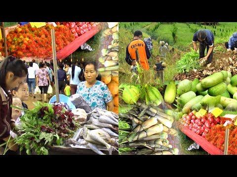 hmoob lag luam, ua noj haus tus neeg toj siab [life of highlander peoples]