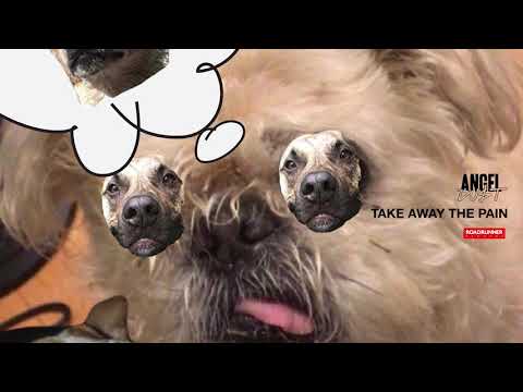 Video thumbnail for Take Away the Pain