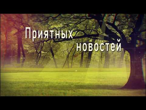 🎶💗ЖЕЛАЮ ХОРОШЕГО ДНЯ, ДОБРЫХ ВЕСТЕЙ И ПРИЯТНЫХ СОБЫТИЙ !🎶💗4К Оригинальное пожелание