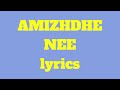 Amizhdhe Nee Song Lyrics | Hi Nanna | Tamil Songs Lyrics English
