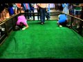 Armadillo Races