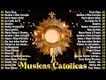 Top 20 Musicas Catolicas 2025 Terra Seca Acalma O Meu Coração Perto Quero Estar