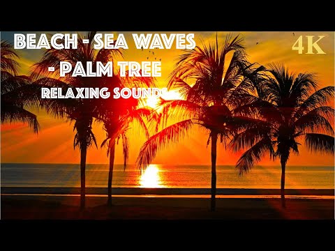 4K Palm Tree 🌴  Beach 🏝  Sunset 🌅  [2 Hours Stress Relief | Relax | Calm | Meditations] Anti Anxiety