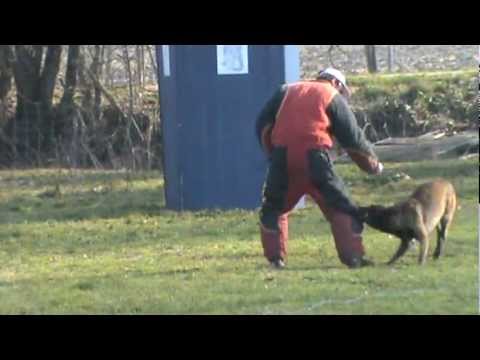 18/02/2012 fuyante.MPG