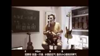 【卡拉永远Ukulele】任贤齐《我是一只鱼》on ukulele cover by SongTao，乌克丽丽弹唱版本