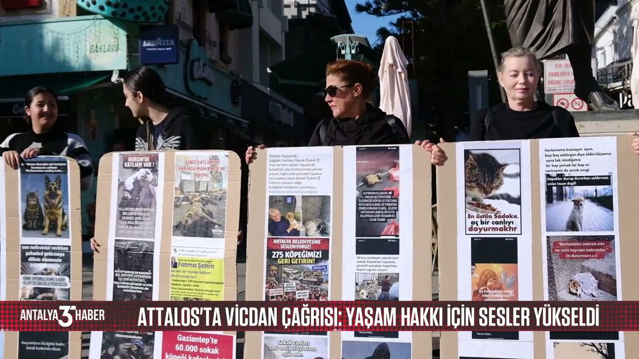 Attalos'ta vicdan çağrısı: Yaşam hakkı için sesler yükseldi