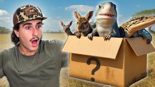 Download lagu Buying The Creepiest Live Animal Box Off The Web… mp3