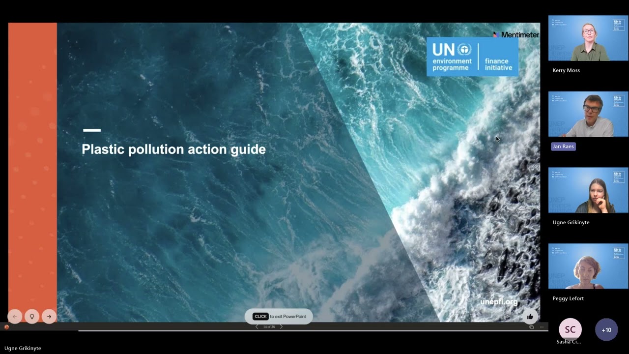 Pre INC 5.2: Finance Leadership Group on Plastics Workstream Session