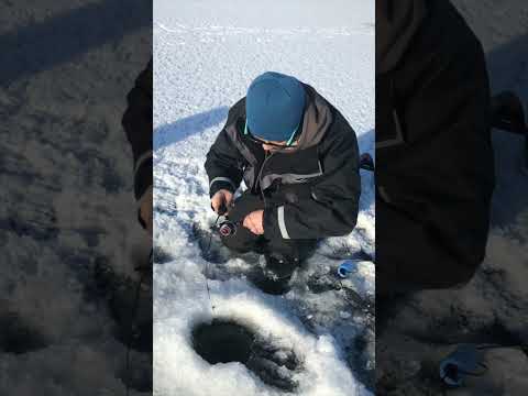 Ice Fishing BIG Pike on Noodle Rod