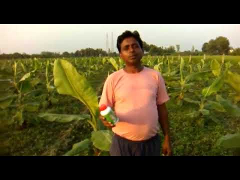 Humic acid liquid solution, bottle