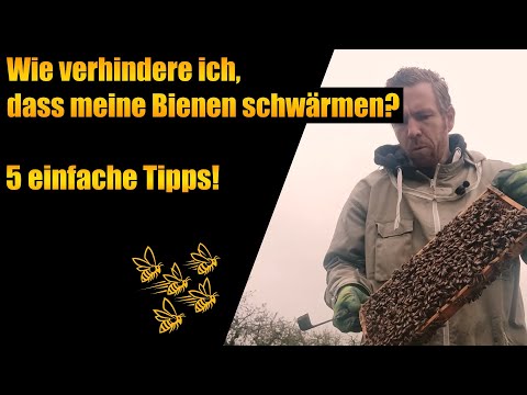 How do I prevent my bees from swarming? 5 simple tips!
