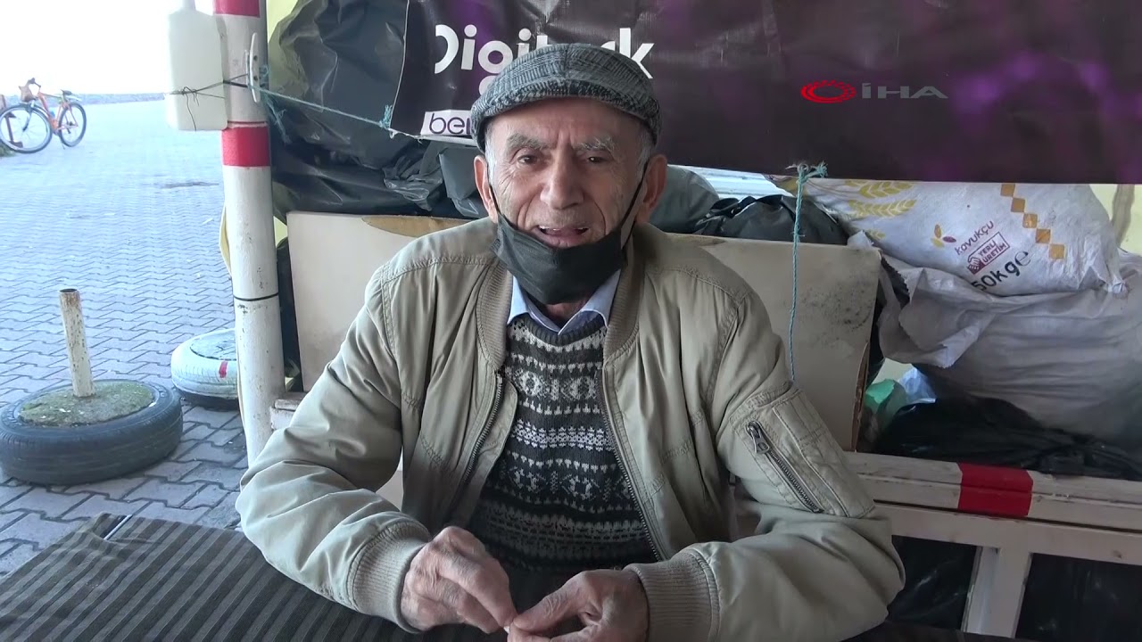 Haylaz karga ‘Şeref’, Yakakent esnafının neşe kaynağı oldu