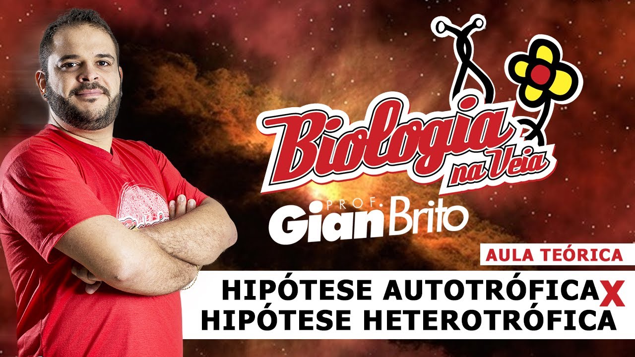 HIPÓTESE AUTOTRÓFICA x HIPÓTESE HETEROTRÓFICA (AULA TEÓRICA)