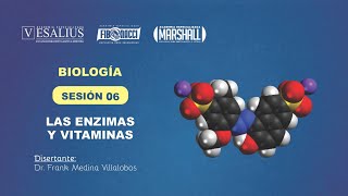[BIOLOGÍA] ENZIMAS | VITAMINAS | ESTRUCTURA | CLASIFICACIÓN | FUNCIONES | CICLO ANUAL