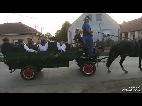 Újlengyel szüreti felvonulás volt ma  2025 október 11 