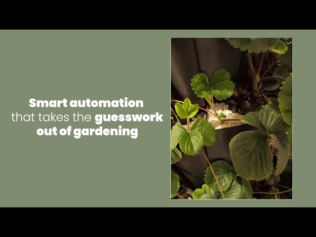 Sustainability Story