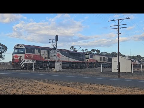 5PM9 SCT up "Dark Ghost" (6 locos), Forrestfield to Laverton, 0840, 25/5/25, Miram VIC