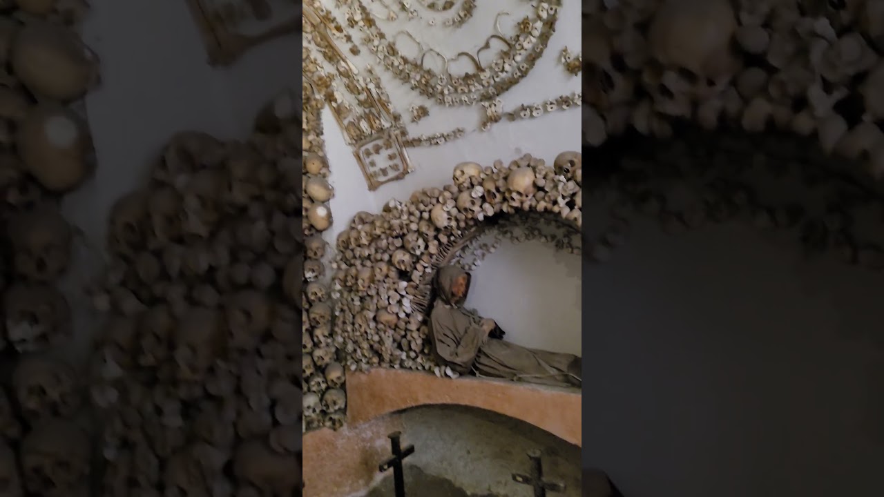 YouTube Short thumbnail