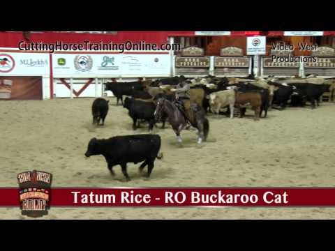 2014 NCHA Futurity Open Final Lineup Set 1