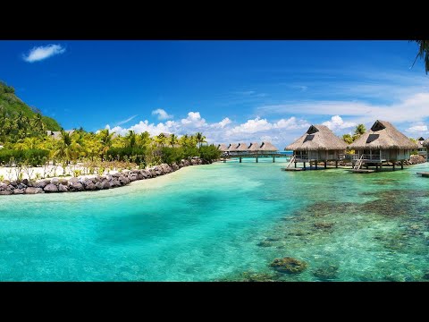 download lagu mp3 mp4 Music House Brazil, download mp3 Music House Brazil please feel free if you like to download, download here Music House Brazil