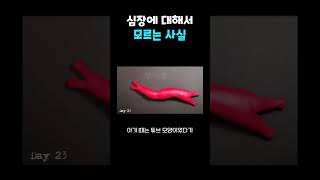 사람들이 심장에 대해 잘 모르는 사실