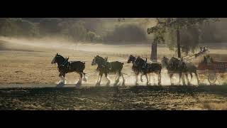 Budweiser | Super Bowl LIX Teaser  'Left Behind' | 2025 Super Bowl LIX  | Super Bowl Commercial