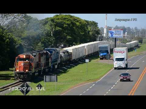 Trens da Rumo na zona urbana de Arapongas e Rolândia, Paraná