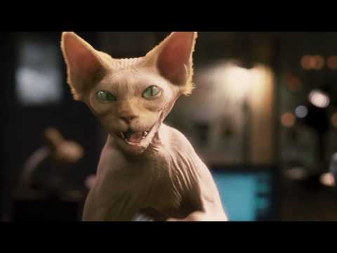Trailer Cats & Dogs - Die Rache der Kitty Kahlohr