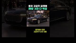 Download lagu 급제동 한 번에 브레이크가 박살? 중국 고급차 논란 mp3